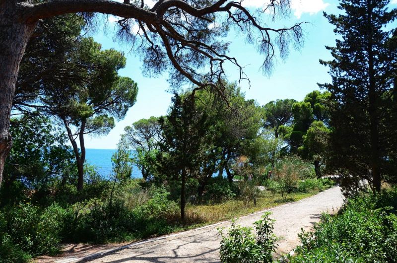 Санаторий "Ай-Петри"