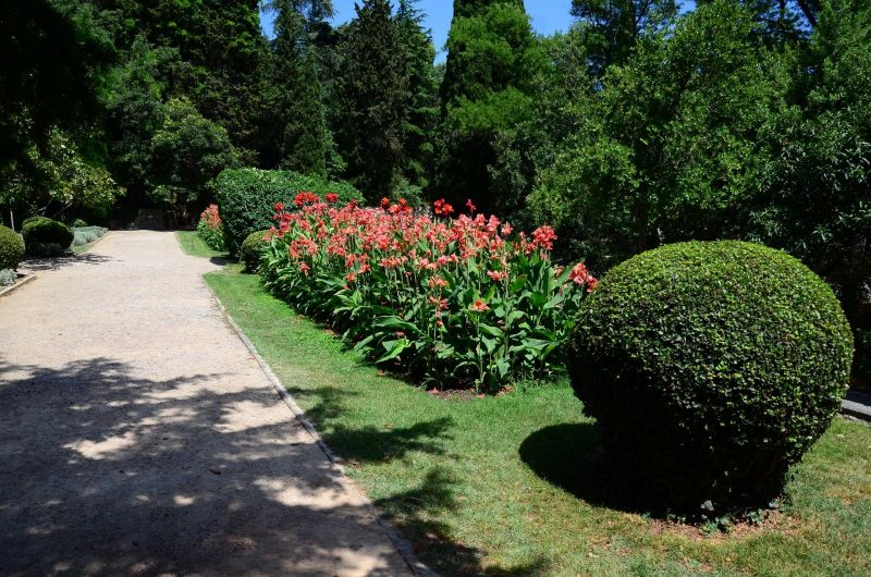 Санаторий "Ай-Петри"