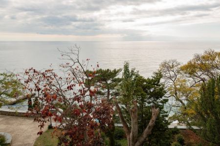 Эконом 1-местный 1-комнатный (Дача 17, отделение Морской прибой)